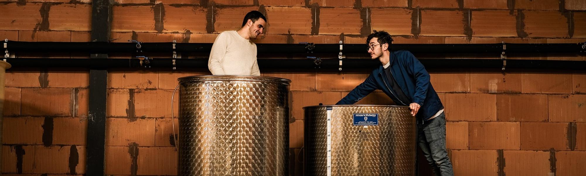 From vineyard to cellar, every step supports the natural expression of the terroirs.