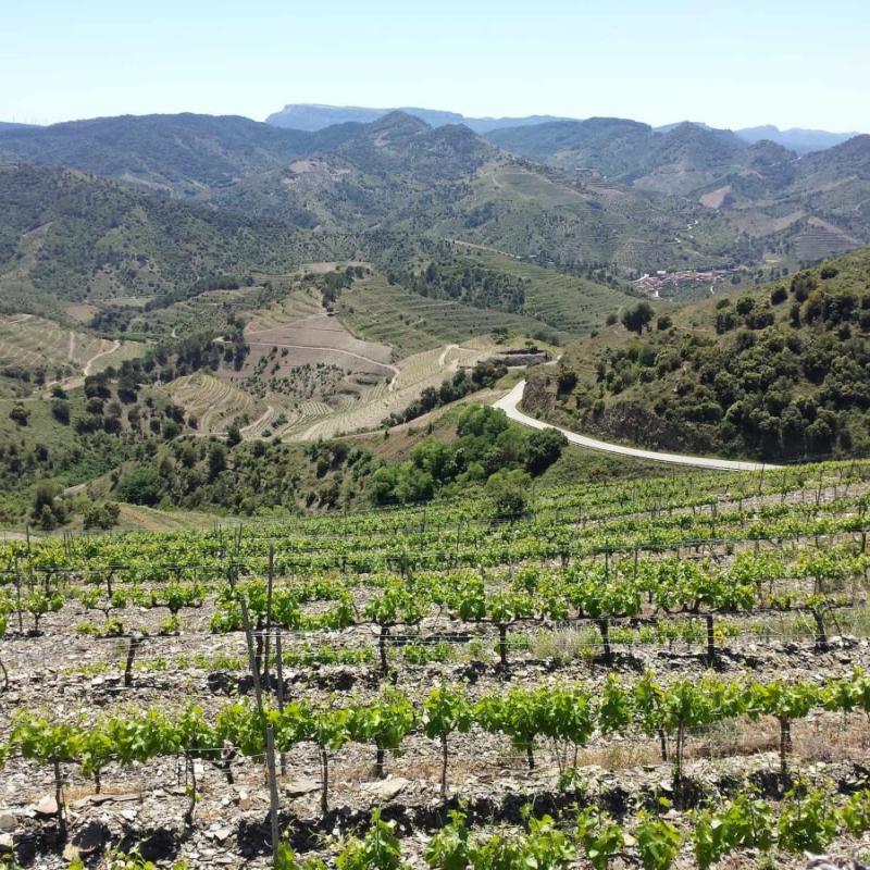 Marco Abella | Priorot, Spain