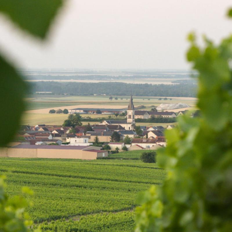 Delavenne