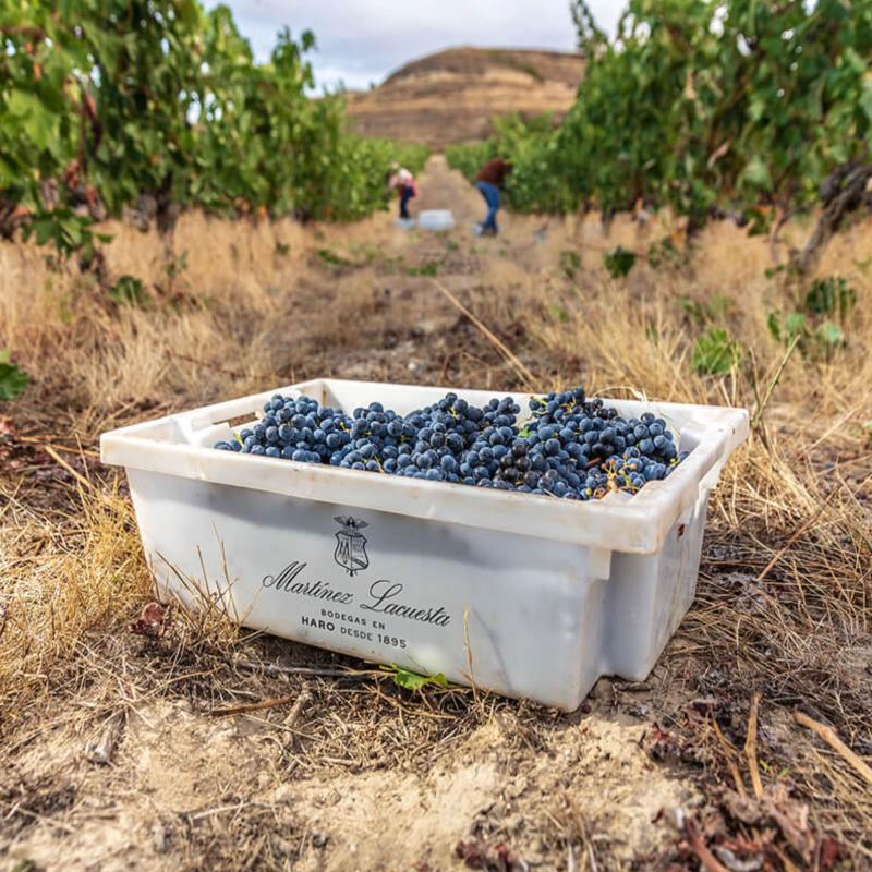 Martinez Lacuesta | Spain | Rioja
