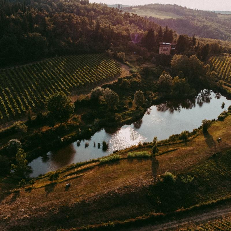 Fattoria Bonsalto | Tuscany | Italy