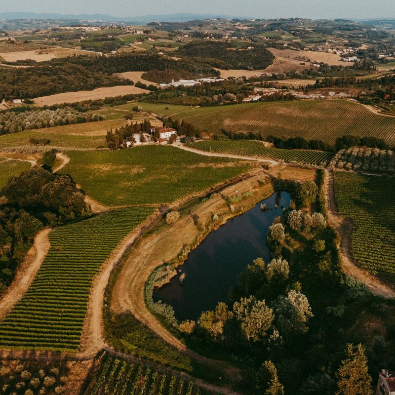 Fattoria Bonsalto | Tuscany | Italy