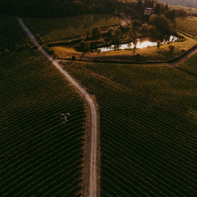 Fattoria Bonsalto | Tuscany | Italy