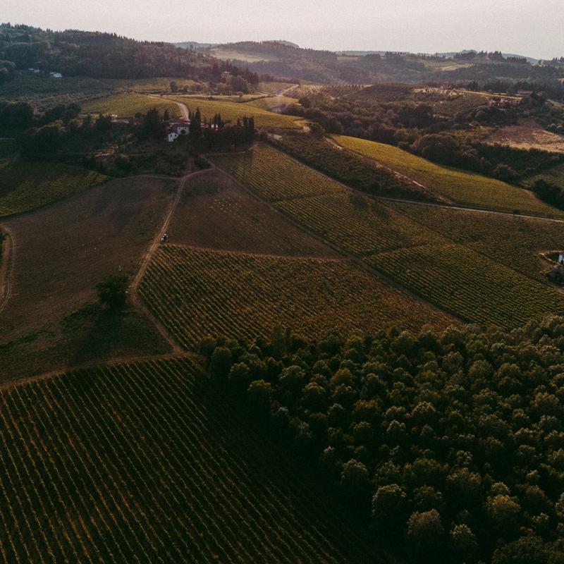 Fattoria Bonsalto | Tuscany | Italy
