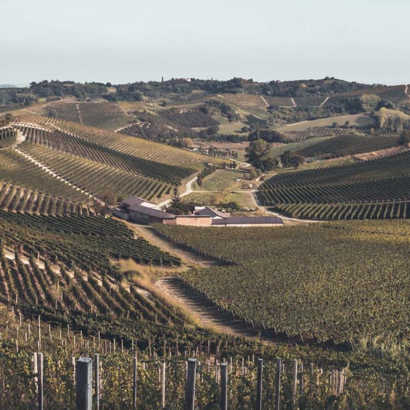 Cascina Véngore