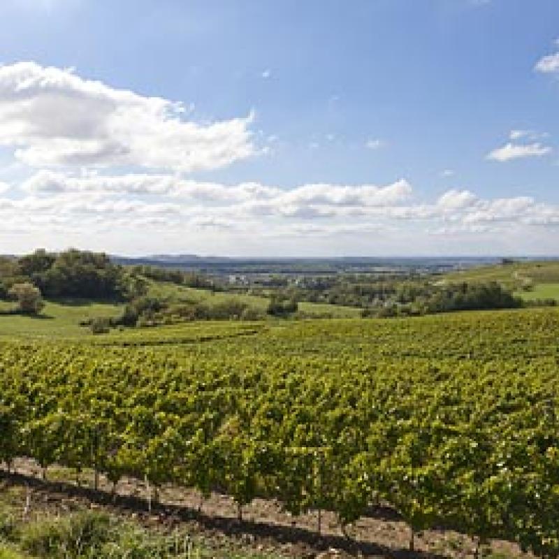 Domaine Badoz
