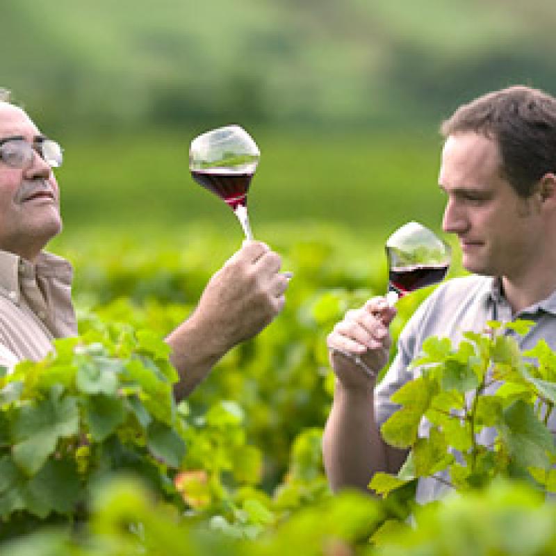 Domaine Badoz