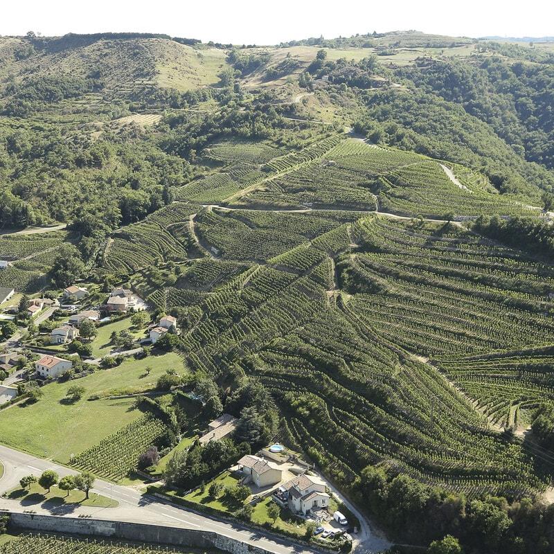 Domaine Gérard Courbis | Rhone Valley, France