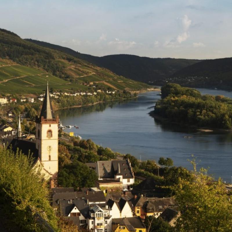 Eva Fricke | Rheingau, Germany