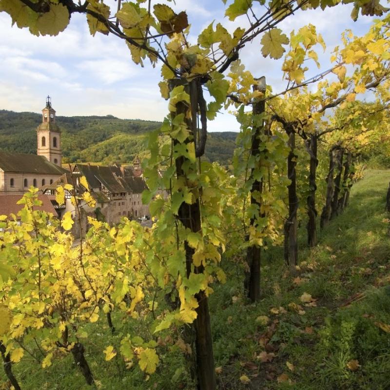 Domaine Bott-Geyl | Alsace, France