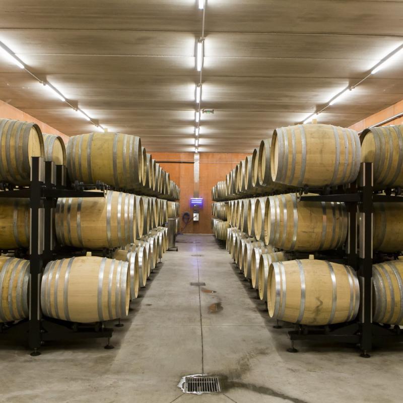 Yves Cuilleron | Rhone