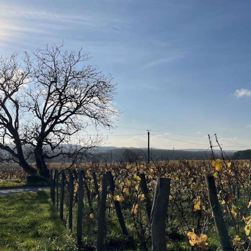 Domaine Grosbois | Loire
