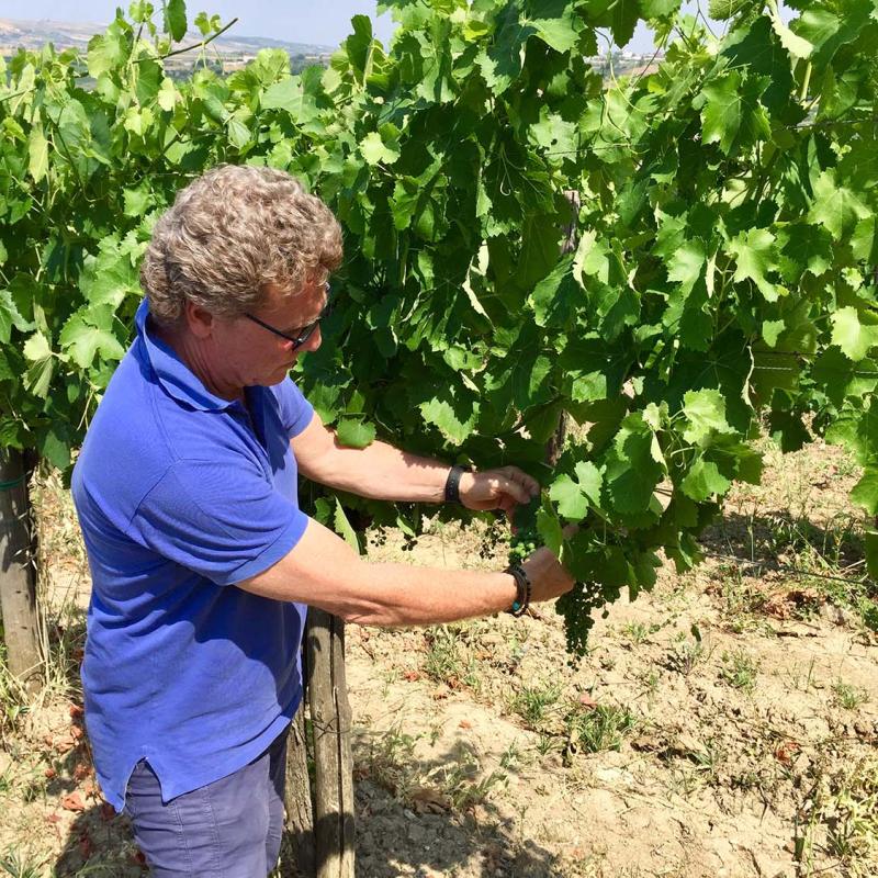 1812 Fattoria La Rivolta | Campania