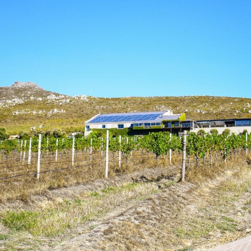 Newton Johnson, Hemel-en-Aarde Valley