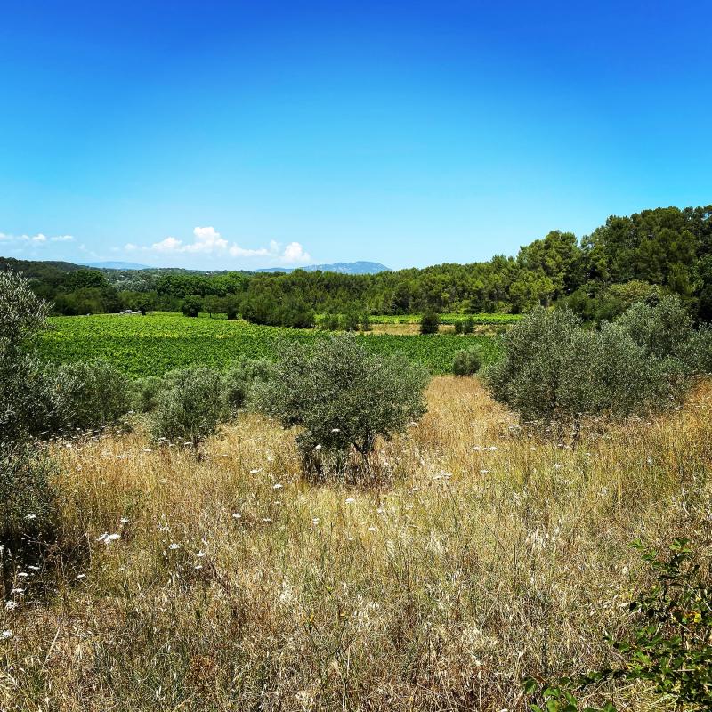 Mas Magnan, Languedoc Roussillon | Entre-Vignes | France
