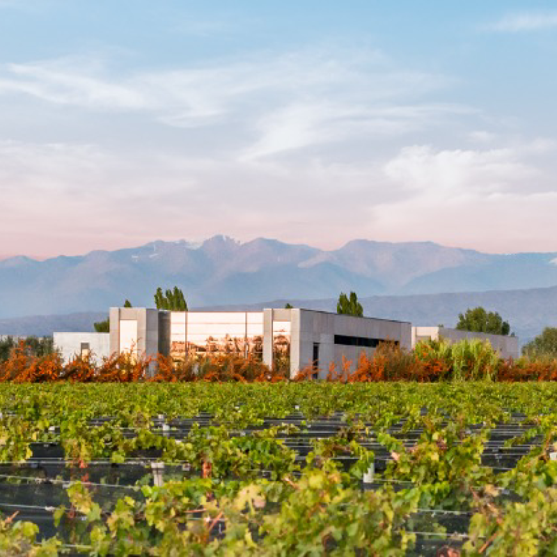 Vina Cobos | Mendoza, Argentina