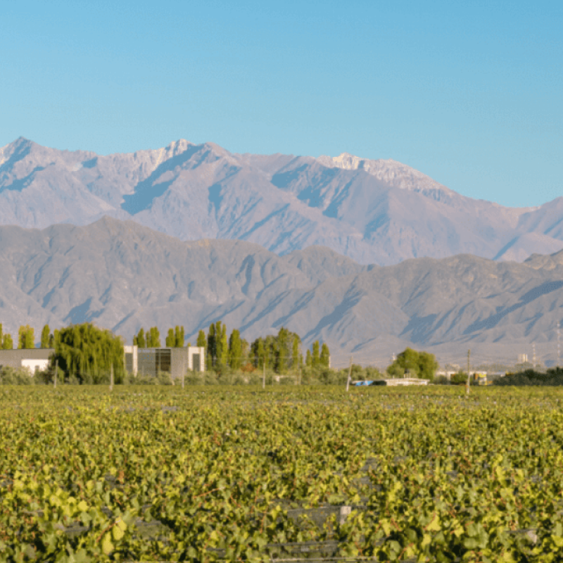 Vina Cobos | Mendoza, Argentina