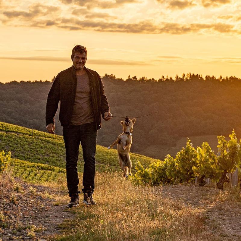 Domaine de la Madone 