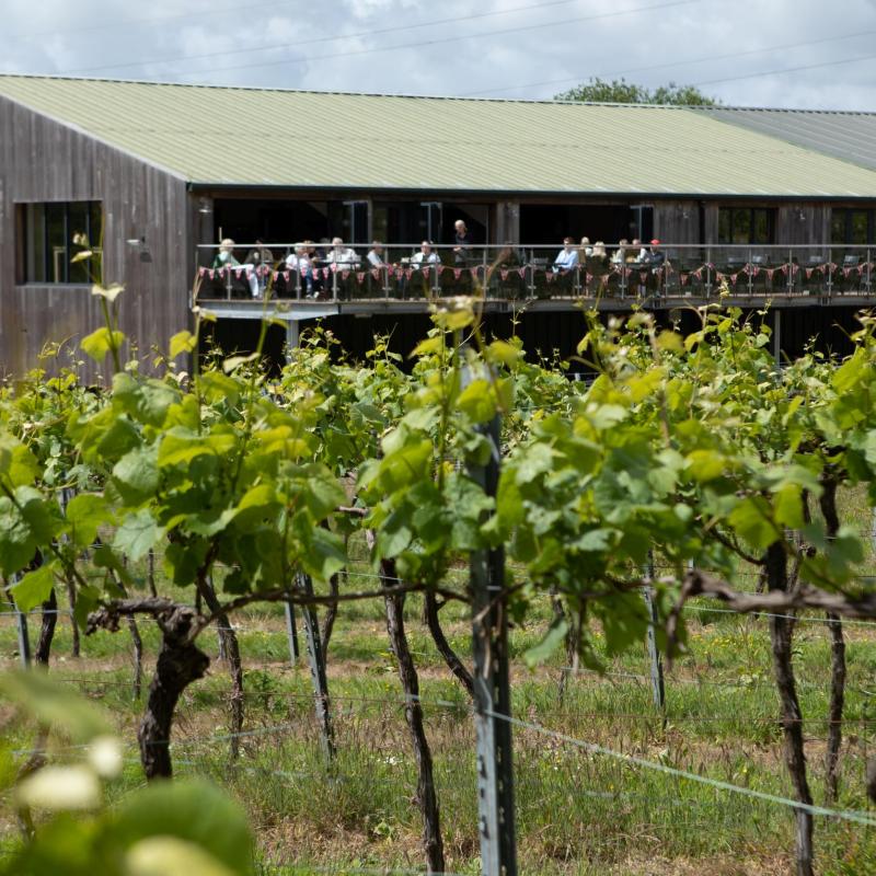 Bolney Wine Estate